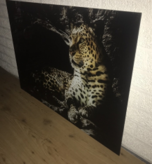 Schöne Kunst auf Glas von einem Leoparden / Panther, sehr schön!