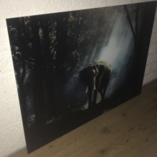 Schöne Kunst auf Glas von einem Elefanten in einem Wald, sehr schön!