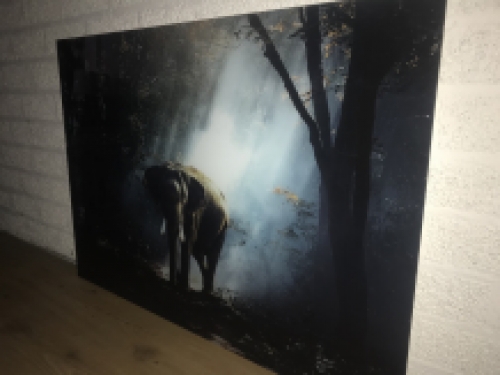 Schöne Kunst auf Glas von einem Elefanten in einem Wald, sehr schön!