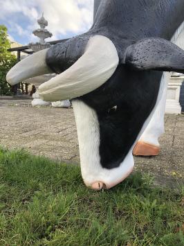 Mooie sculptuur van een grote koe, prachtig in kleur gezet, echte eye-catcher!!