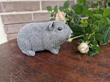 Plankdrager , plankdrager met vogel