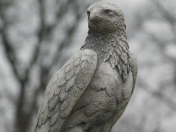 Havik van Steen - Wit met Grijs - Dierensculptuur