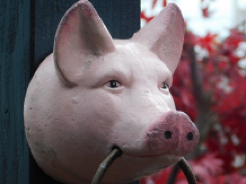 Handdoek ring 'Pig Head' - varkenskop - gietijzer