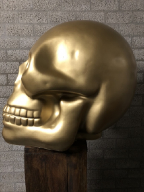 Zeer grote anatomische skull-schedel, uit Polystein-Gold.