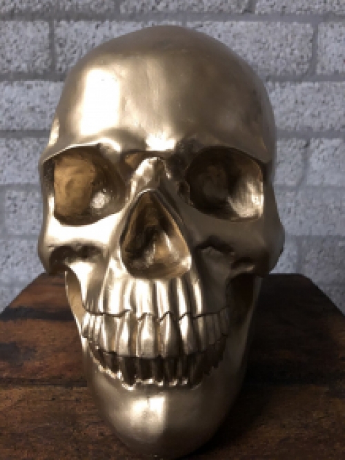 Skull-schedel, uit Polystein, gold.