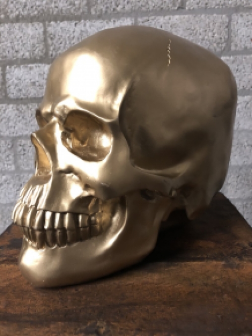 Skull-schedel, uit Polystein, gold.