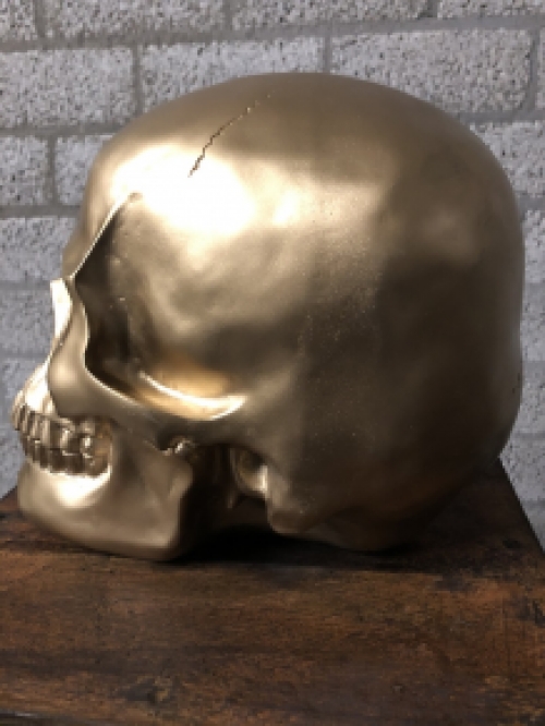 Skull-schedel, uit Polystein, gold.