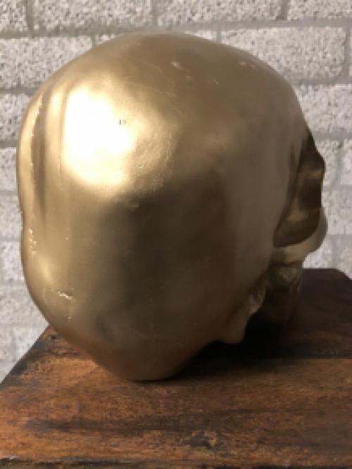 Skull-schedel, uit Polystein, gold.