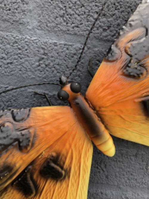 Vlinder-metaal-vol in kleur-wanddecoratie-mooi.