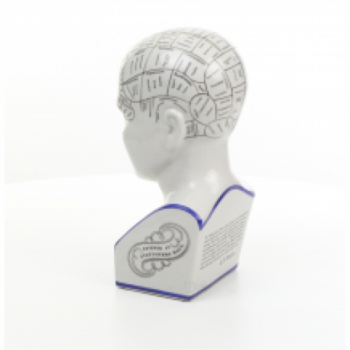 Een porseleinen phrenology hoofd in blauwe kleuring