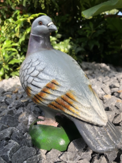 Schöne Statue, in Farbe, einer Taube, aus Gusseisen, schön