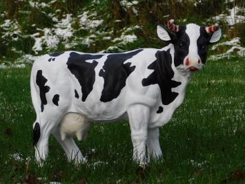 Kuh mit Hörnern - M - Polystone - Detailliert