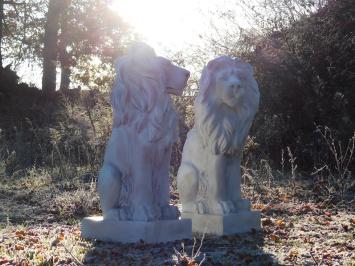 Schöner sitzender Löwe, Polystone, schöne Statue, Blick nach rechts