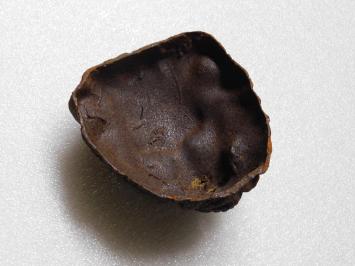 Löwenkopf - Wasserauslauf - 20 cm - Gusseisen