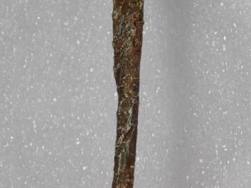 Kunstbloem Lelie Tak - Paars - 74 cm