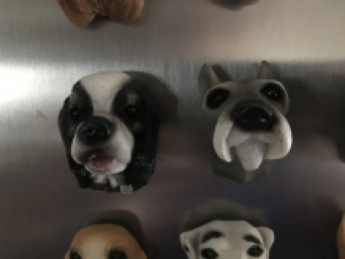 Honden Magneten - 12 Stuks - Decoratie