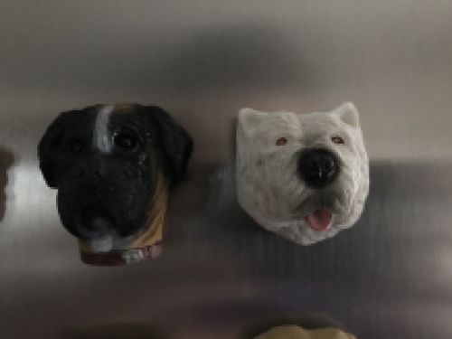 Honden Magneten - 12 Stuks - Decoratie