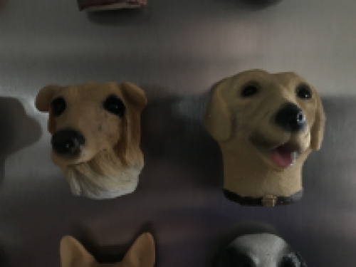 Koelkast magneten, 12 honden als leuke decoratie