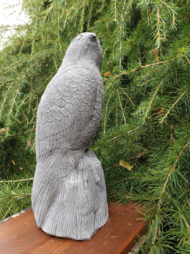 Schöner Adler, sehr detailliert