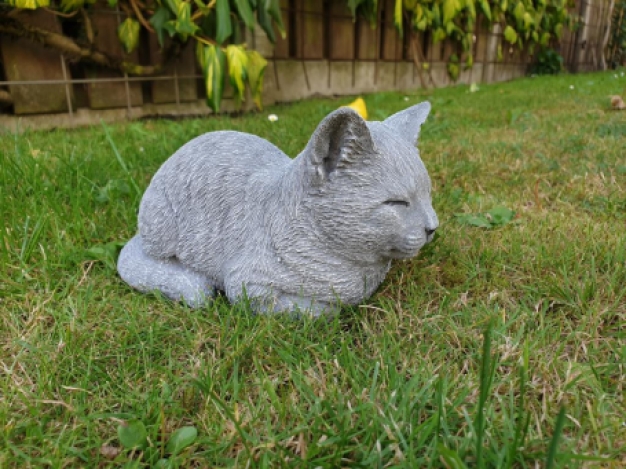 Rustende katten beeld , poes