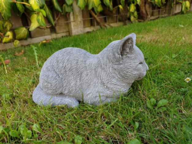 Rustende katten beeld , poes
