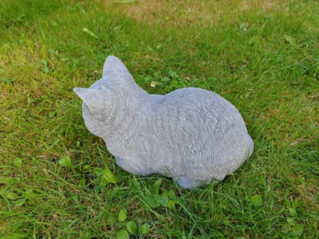 Rustende katten beeld , poes