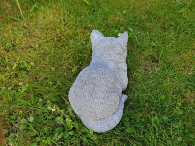 Rustende katten beeld , poes