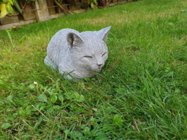 Rustende katten beeld , poes