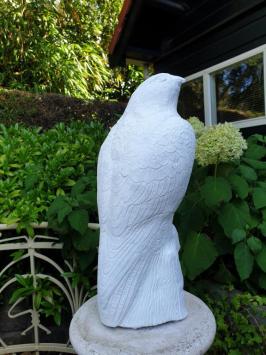 tuinbeeld van een witte adelaar , adelaar