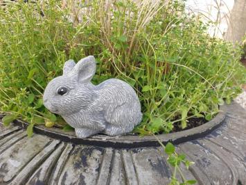konijn,beeld van schattig klein konijntje