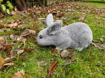 konijn,beeld van een snuffelend konijn