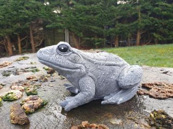 Gartenstatue eines Frosches, Frosch