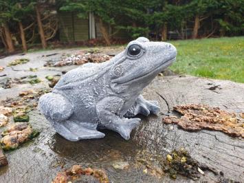 Gartenstatue eines Frosches, Frosch