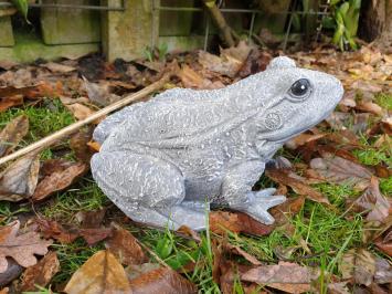 Gartenstatue eines Frosches, Frosch