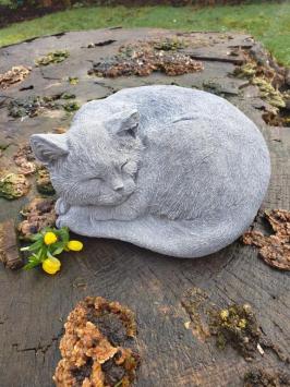 tuinbeeld kat , opgerolde poes