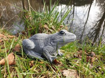 tuinbeeld van een kikker , kikker