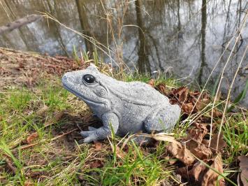 tuinbeeld van een kikker , kikker