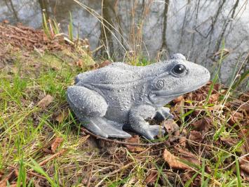 tuinbeeld van een kikker , kikker