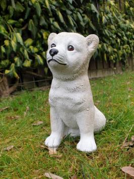 Schönes Bild eines Polarhundes