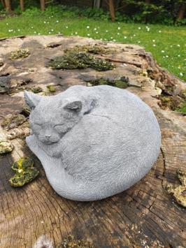 Grote kat , poes , beton