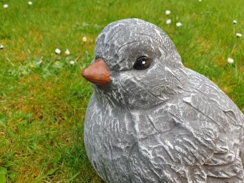 Vogel van beton , mus
