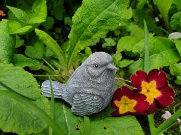 Süßer Spatz, Spatz, Vogel