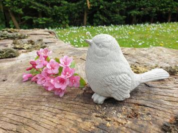 Lief tuinbeeldje van een mus , vogel