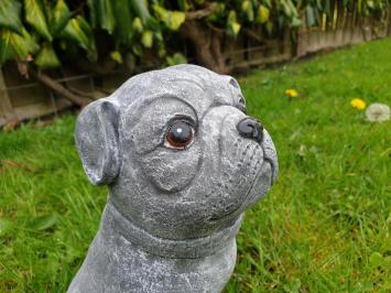 betonbeeld hond cas