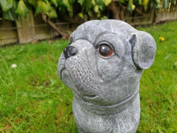 betonbeeld hond cas