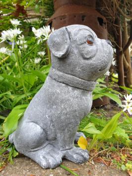 betonbeeld hond cas