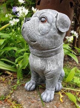 betonbeeld hond cas