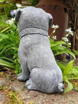 betonbeeld hond cas