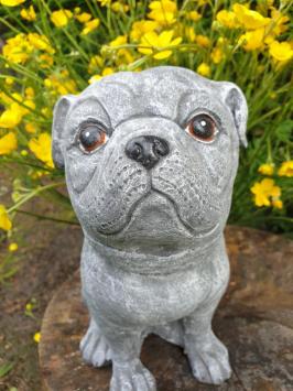 betonbeeld hond cas