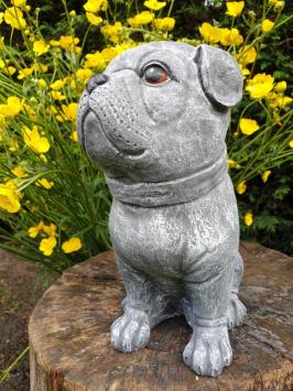 betonbeeld hond cas